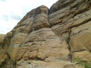 SAM_6344