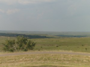 SAM_6365