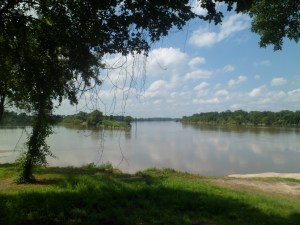SAM_6402