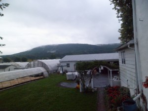 SAM_6465