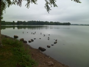 SAM_6632