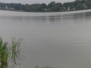 SAM_6639