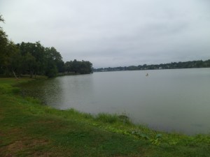 SAM_6642