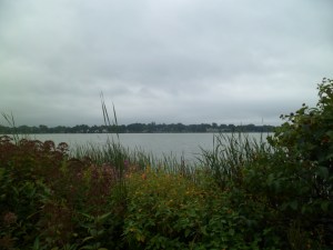 SAM_6648