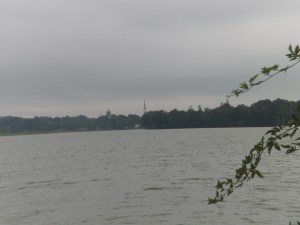 SAM_6650
