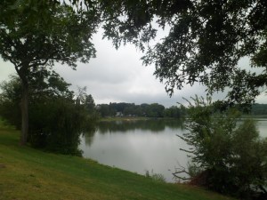 SAM_6654