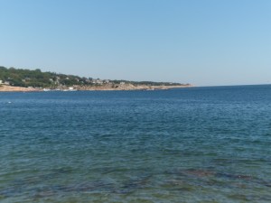 SAM_6673