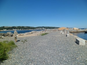 SAM_6679