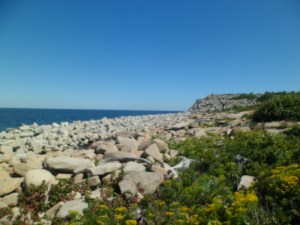 SAM_6703