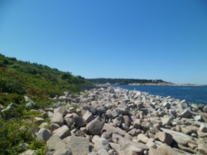 SAM_6706