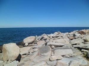 SAM_6709