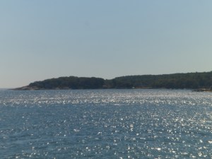 SAM_6743