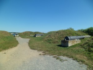 SAM_6754