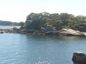 SAM_6757