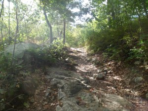 SAM_6802