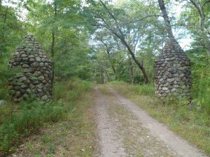 SAM_6808