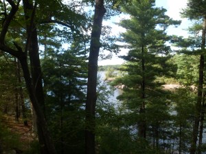 SAM_6809