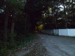 SAM_6822
