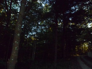 SAM_6825