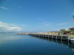 SAM_6906