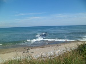 SAM_6942
