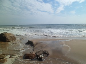 SAM_6962