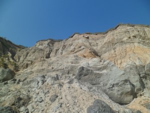 SAM_6964