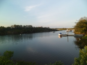 SAM_6985