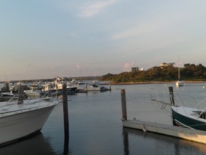 SAM_6987