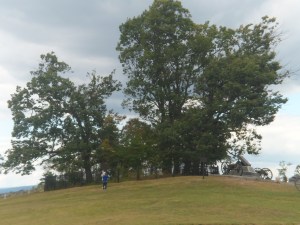 SAM_7128