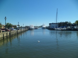 SAM_7183