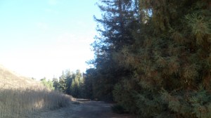 SAM_7465