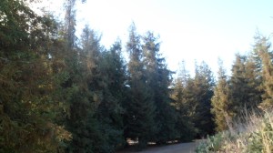 SAM_7476