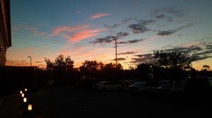 SAM_7498