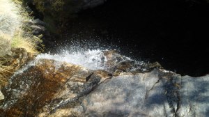 SAM_7761