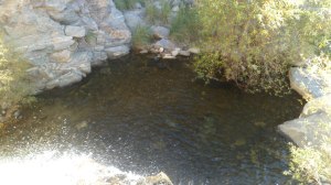 SAM_7762