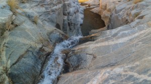 SAM_7768