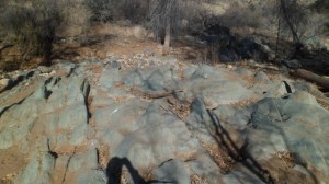 SAM_7843