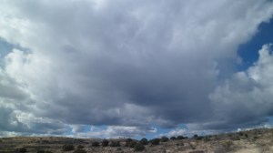 SAM_7966