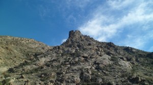 SAM_8060