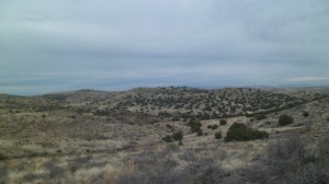 SAM_8109