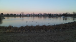 SAM_8161
