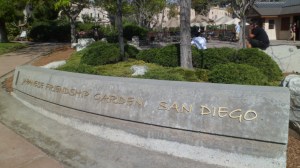 SAM_8204