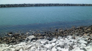 SAM_8263