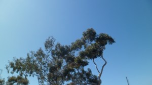 SAM_8279