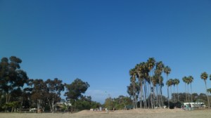 SAM_8310
