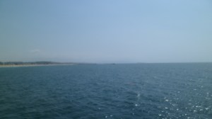 SAM_8366