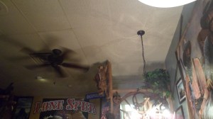 SAM_8560