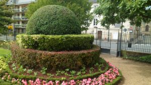 SAM_0041