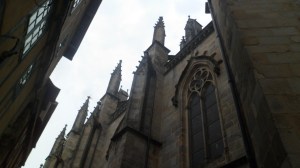SAM_0101